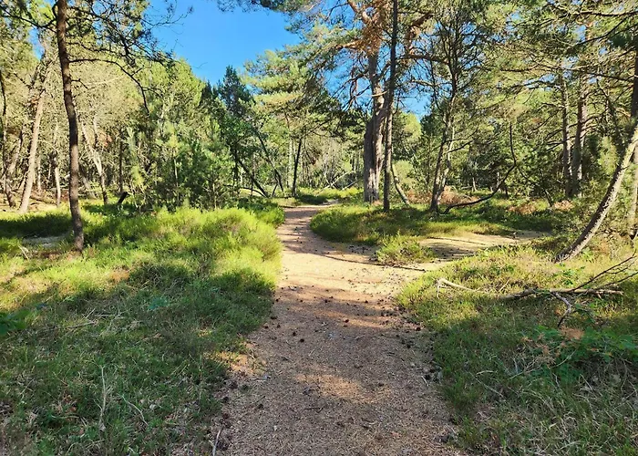 6 Person In Hadsund Helberskov