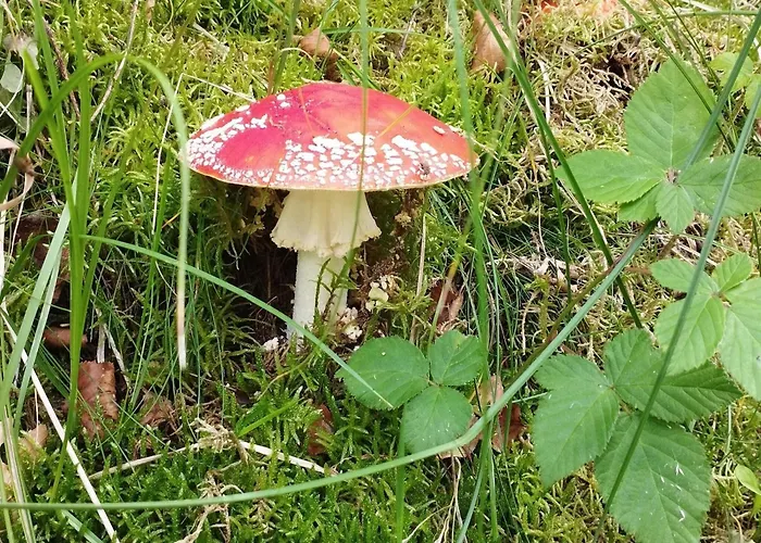 بيت للعطل 6 Person In Hadsund Helberskov